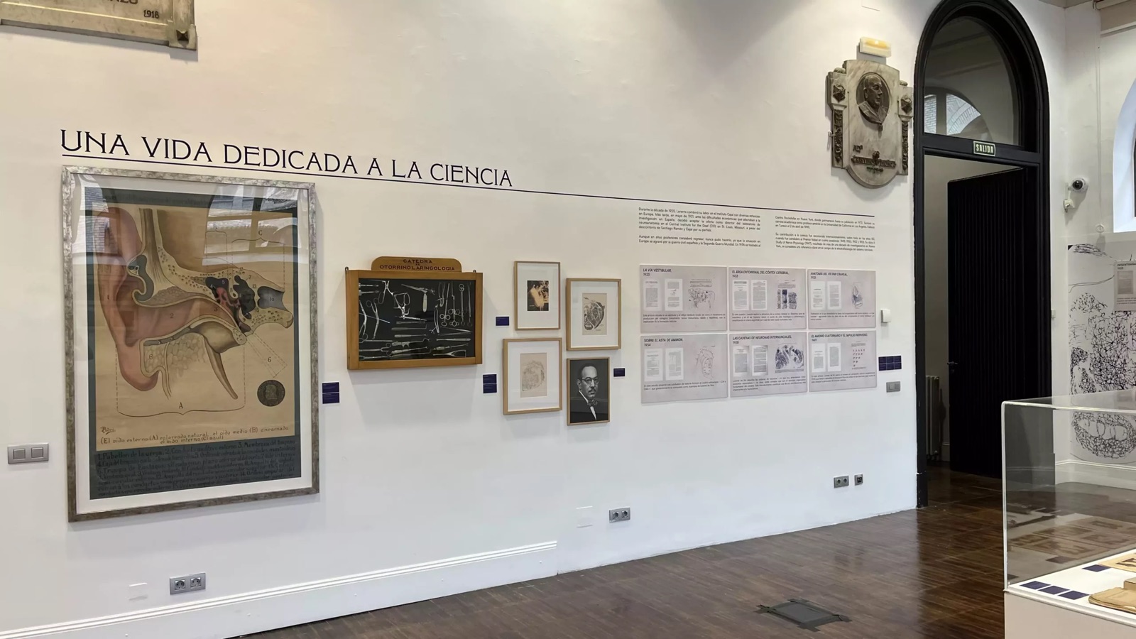 Lorente de Nó — imagen 3